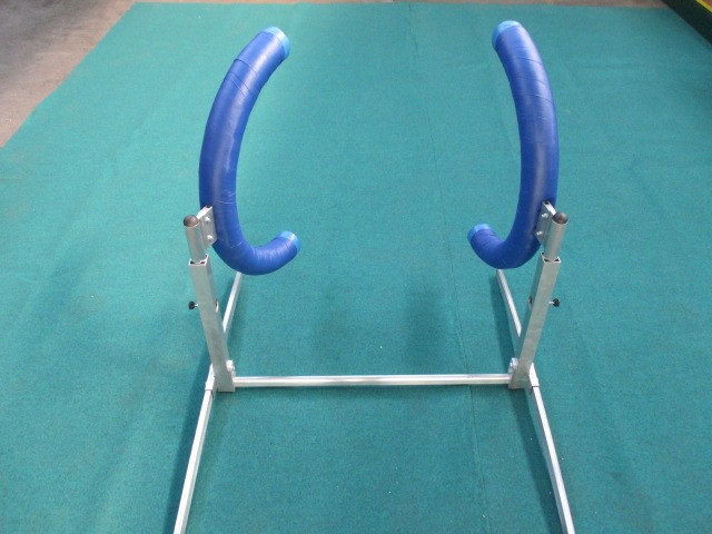 RUOTA AGILITY DOG